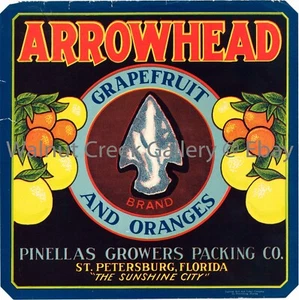 Florida Fruit Crate Label Fine Art Print, Arrowhead , approx 10.8"x 10.9" 12989 - Picture 1 of 1