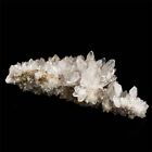 5800G India Himalayan Clear Quartz Phantom High Energy &Amp; Reiki Crystal