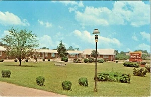 c1970 Sunrise Motel South of Knoxville Tennessee Hwy 11 cartolina d'epoca - Foto 1 di 2