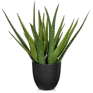 16.5" Large Artificial Succulent Aloe Plant Faux Potted Aloe in Black Pot - Picture 1 of 5