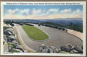 Postal Clingmans Dome Tennessee Great Smokey Mountains c1940 - Imagen 1 de 2