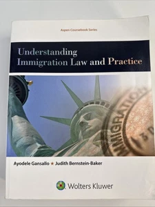 Understanding - Paperback, by Gansallo Ayodele; Bernstein-Baker - Good - Imagen 1 de 3