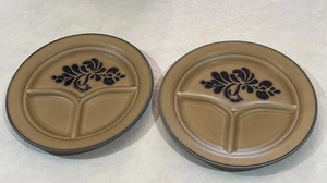 2 Vintage seltene Pfaltzgraff geteilt 10" Essteller Volkskunst Muster USA perfekt! - Bild 1 von 12