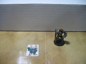 =Dungeons and Dragons D&D DEMONWEB Dragonborn Paladin of Bahamut 1/60 no card= - Picture 1 of 1