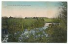 Taunton River From Williams Woods 1909 Postcard ~ Massachusetts