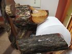 Hand Crafted Wooden Bear Toilet Paper Holder, Rustic Cabin Lodge, Unique Decor!