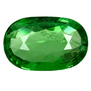 0,83 ct toller Ovalschliff (8 x 5 mm) Tansania grüner Tsavorit Granat Edelstein - Bild 1 von 2