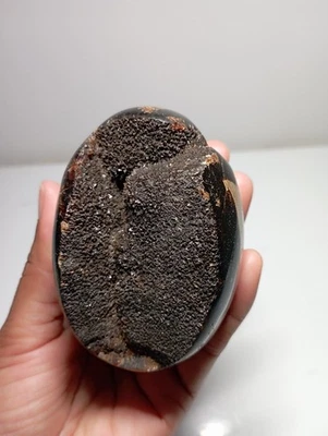 295g  Galet EN  SEPTARIA  SAUVAGE Madagascar Massage Lithothérapie pierre  - Photo 1/4