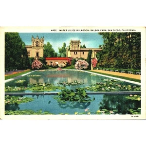 Postcard California Los Angeles Balboa Park Water Lilies in Lagoon White Border - Picture 1 of 3