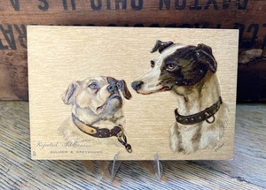 Bulldog & Greyhound Postcard ~ Tuck - Picture 1 of 2
