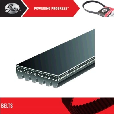 Serpentine Belt Gates For 2012-2014 FORD ECONOLINE WAGON V8-4.6L - Image 1 of 4