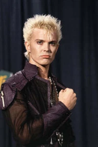 Billy Idol Poster 11x17 - Picture 1 of 1