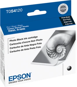 New Genuine Epson 54 T0541 Photo Black Ink Cartridge for Stylus Photo R800 - Picture 1 of 2