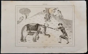 1841 - Combat Of Rostam Against L'Elephant White - Shahnameh Of Ferdowsi - Iran - Picture 1 of 5