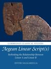  Aegean Linear Scripts by Salgarella Ester St Johns College Cambridge  NEW Paper