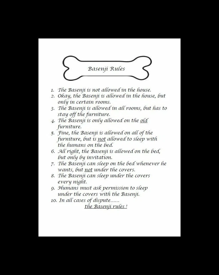 Basenji "Rules" - CUSTOM MATTED - Dog Art Print : GIFT - Image 1 of 1