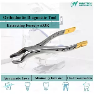 Dental Extracting Forceps #53R German Stainless Steel Surgical Molar Extraction - Picture 1 of 3