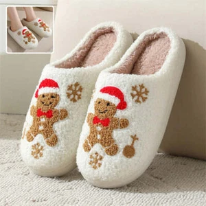 Fuzzy House Shoes For Women Home Slippers - Picture 1 of 9