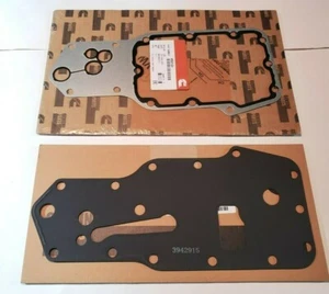 Juego de juntas de enfriador de aceite STORM Cummins ISB Encore 5.9 6BT 24V 98-02 4932124 3942915 - Imagen 1 de 2