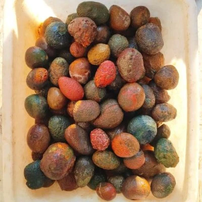 Rare China Natural Warring States Red Rough Agate Geode Quartz Crystal 1KG - Image 1 of 4