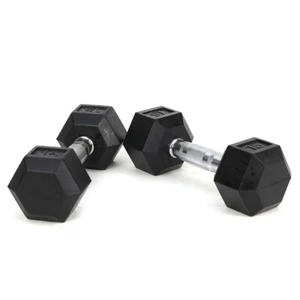 15LB Rubber Coated Cast Iron Dumbbell with Chrome Handle Hexagon Shape 2 Piece - Picture 1 of 7