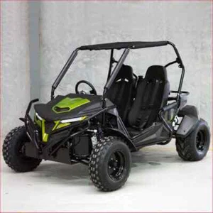 Helmetkarts - FORZA 300cc EFI Adults Utility Buggy Off Road Race Drift Go kart - Picture 1 of 15