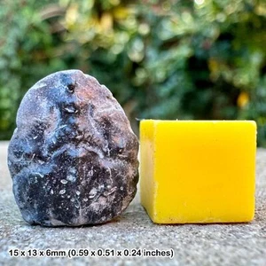 Notopocorystes stokesi Fossil Crab - Cretaceous Era, Kent | Genuine Specimen | - Picture 1 of 2