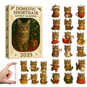 ·Kurzhaar Katze Adventskalender Blindbox Acryl täglich Countdown perfektes Geschenk - Bild 1 von 14
