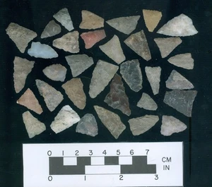 Gruppe von 32 beschädigten Weichen South Dakota - ex-EP Sweet #4 - Bild 1 von 1