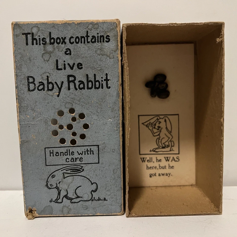 Esta caja contiene una broma de conejo bebé vivo mordaza regalo 1939 Foto 1 de 4