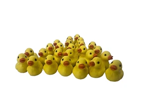 Set di 25 personaggi Safari Ltd anatra in gomma BUONA FORTUNA MINI! #349222 1" GLMRD25 - Foto 1 di 4
