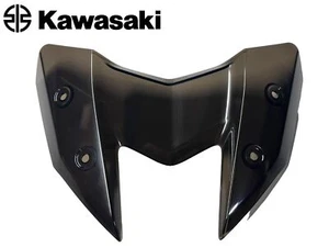 COVER FARO CUPOLINO PARABREZZA FUME' ORIGINALE KAWASAKI Z800 (2013-2016) Z-800 - Imagen 1 de 7