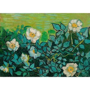 Van Gogh, Wild Roses, 1889, Lustre Canvas Print, A3 Size - Picture 1 of 10
