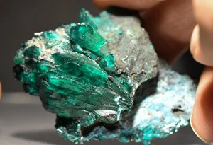 Dioptase Mineralkristalle Probe seltenes Mineral - Kongo - Bild 1 von 10
