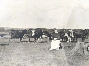 Vintage Postkarte RPPC. Dame sitzend mit Kühen, Sheboygan, Wisconsin. C. 1910 - Bild 1 von 11