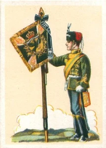 FAHNENTRÄGER STANDARTE HUSAREN REGIMENT N.10 MAGDEBURG DEUTSCHLAND IMAGE CARD - Picture 1 of 2
