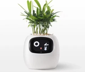 VASO DA FIORI Ivy smart 49 ricche espressioni ,7 sensori intelligenti e chip AI - Foto 1 di 11