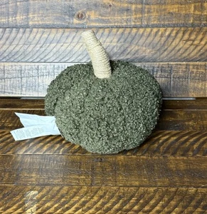 Pottery Barn Cozy Pumpkin Pillow Loden 5x8” New - Picture 1 of 4