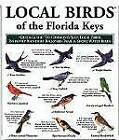 Local Birds of the Florida Keys