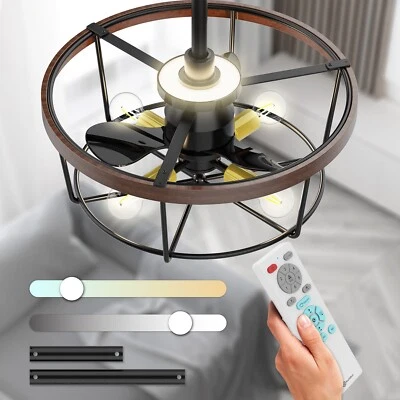 21" Caged Ceiling Fan with Lights and Remote Control (4x E26 LED Bulb Required) - Image 1 of 4