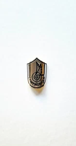 FITS CAMPAGNOLO BIKE HEAD BADGE DECAL STICKER 3M ALUMINIUM REPLICA - Picture 1 of 5