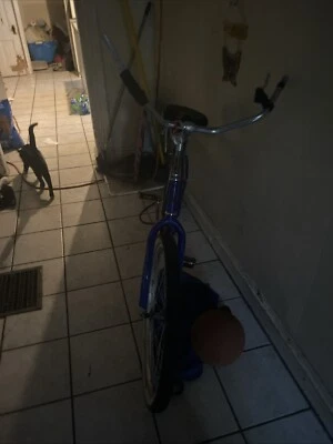 Crucero de playa de una sola velocidad Foto 1 de 3