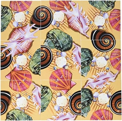 B Dazzle Scramble Squares Puzzle Sea Shells 9 Piece Puzzle - Image 1 of 2