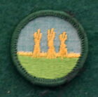 Vintage  Girl Scout Badge - Cheesecloth Back - Outdoor Safety