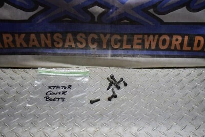 501 PERNOS DE CUBIERTA DEL ESTATOR DEL MOTOR 03 SUZUKI GSF600 GSF 600 S BANDIT 2003 ENVÍO GRATUITO Foto 1 de 4