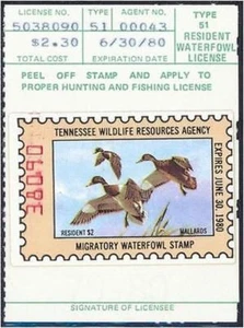 TN-1 1979 Tennessee State Duck Stamp DSS - Foto 1 di 1
