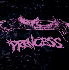 Princess - Princess Cassette Pink (NEW) - Picture 1 of 2
