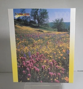 Kodacolor 1000 pcs puzzle ~ Temblor Range, CA~ New 18x26~ Factory Sealed~ 2002 - Picture 1 of 5