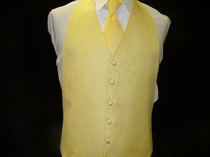 Formal Vest Backless - Buttercup Enchantment V570 - Picture 1 of 1