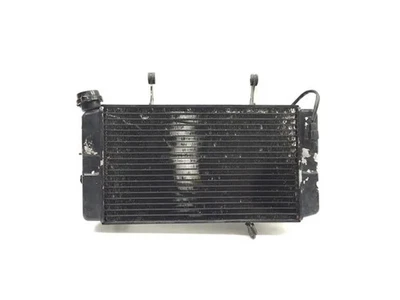 Radiator Cooling Front Fluid with Fan 2003 Suzuki Vstrom 1000 DL1000 3379 x - Image 1 of 4